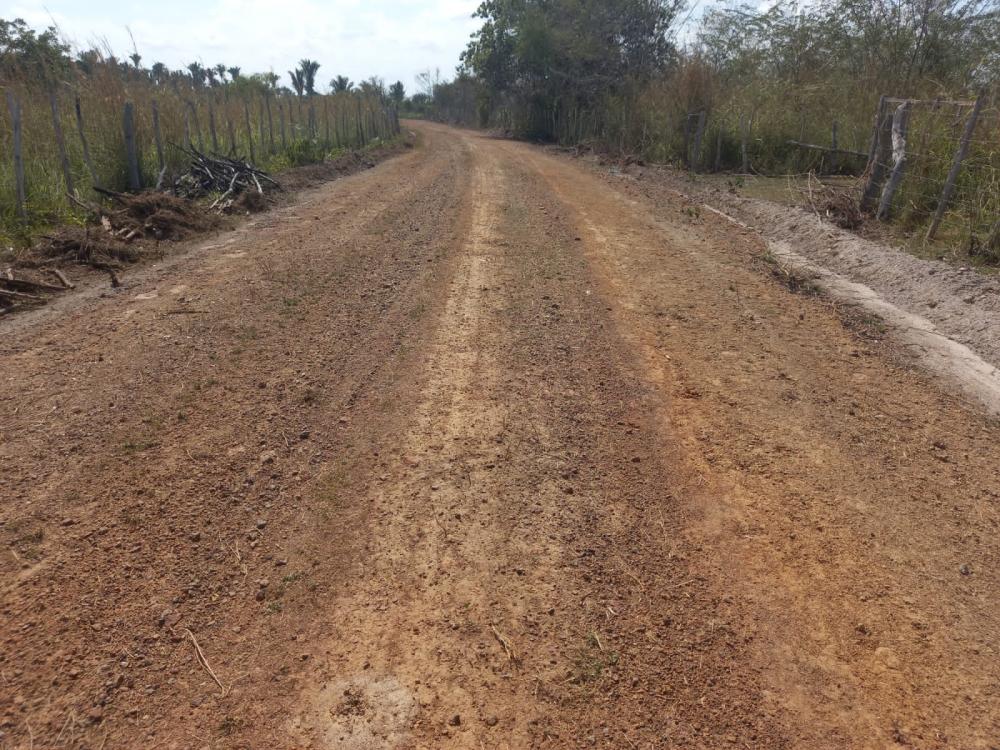 Governo Edilson Capote começa fazer a estrada vicinal do Maribondo a Picada na zona rural de Barras PI 
