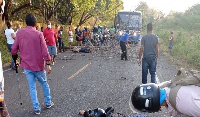 Árvore cai em cima de moto na PI-113 e duas pessoas ficam gravemente feridas