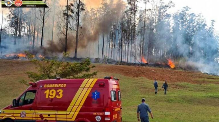 G1