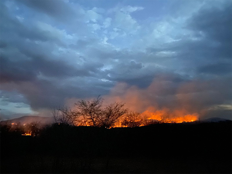 Após recorde de incêndios, governo proíbe queima controlada em todo Piauí