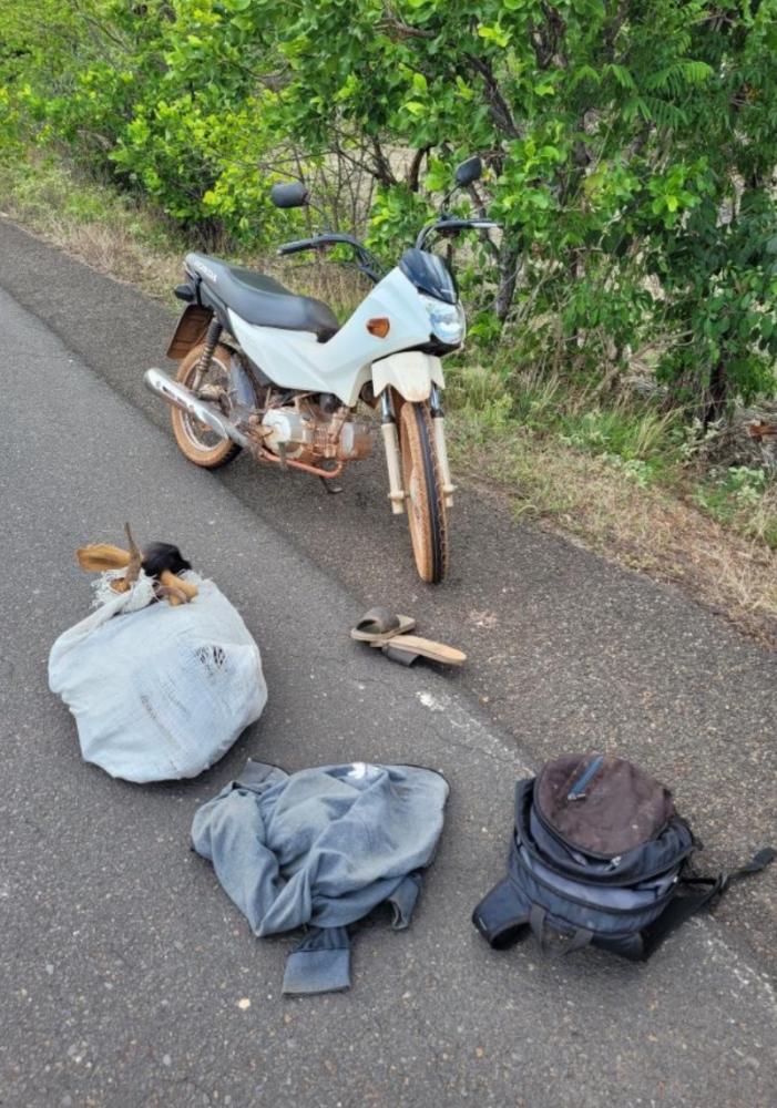 Polícia civil em Barras PI impede furto de animal na PI 113 e recupera moto roubada