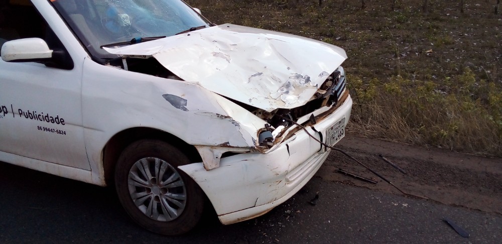 Radialista colide com jumento na PI 113, entre Barras e Cabeceiras