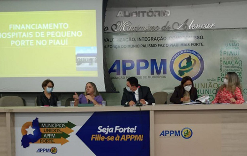 Foto: Divulgação/Cosems-PI