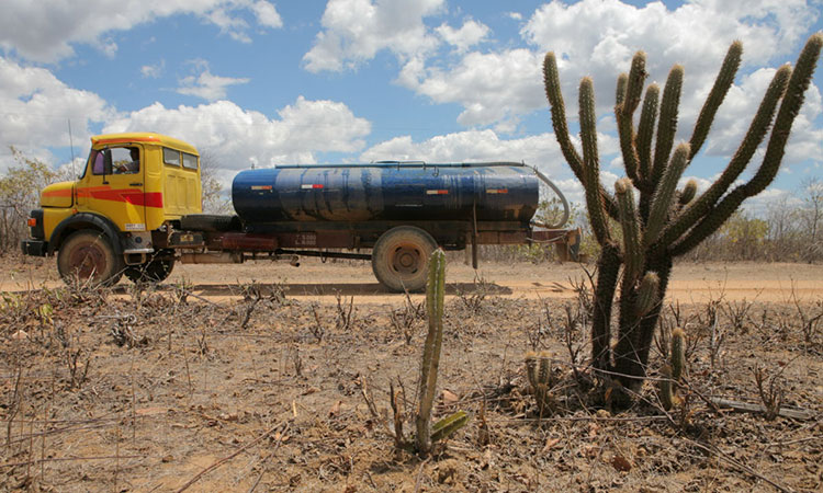 Piauí decreta situação de emergência pela seca em 35 municípios