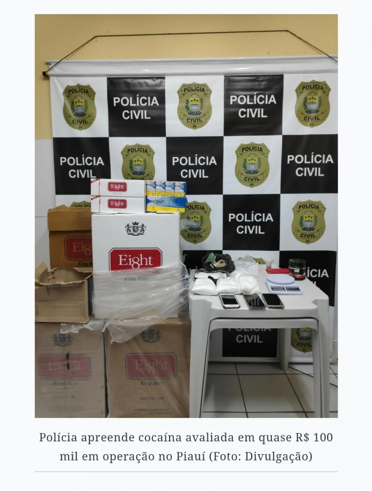 Polícia apreende cocaína avaliada em quase R$ 100 mil em operação no Piauí (Foto: Divulgação)