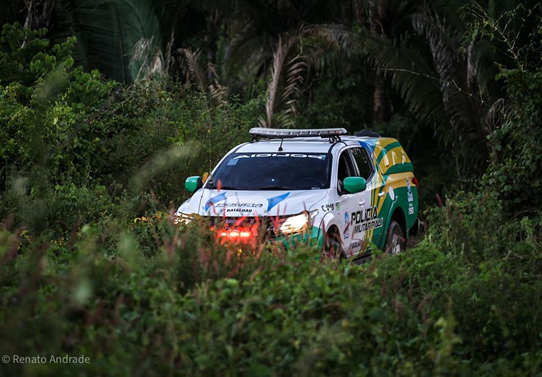 Renato Andrade Cidade Verde 