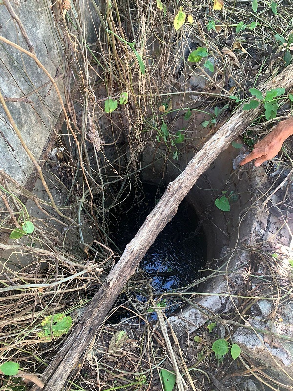 Crime bárbaro: Adolescente é apreendido por tentar estuprar e esfaquear a mãe adotiva no Norte do Piauí