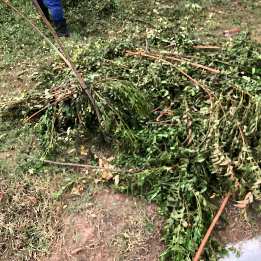 Operação pega o SUJÃO em Barras PI