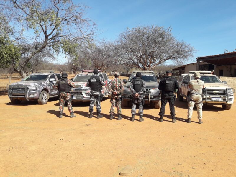 PM encontra plantação de 3 hectares de maconha em fazenda no Sul do Piauí