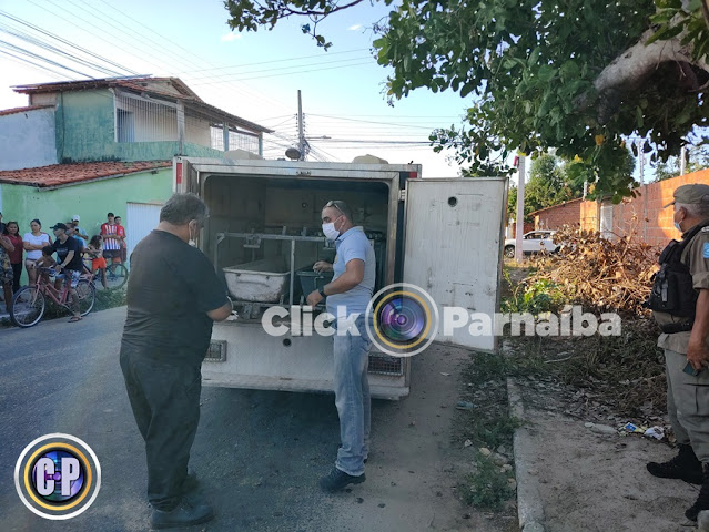 Jovem aborta e enterra trigêmeos no quintal de casa em cidade do Norte do Piauí