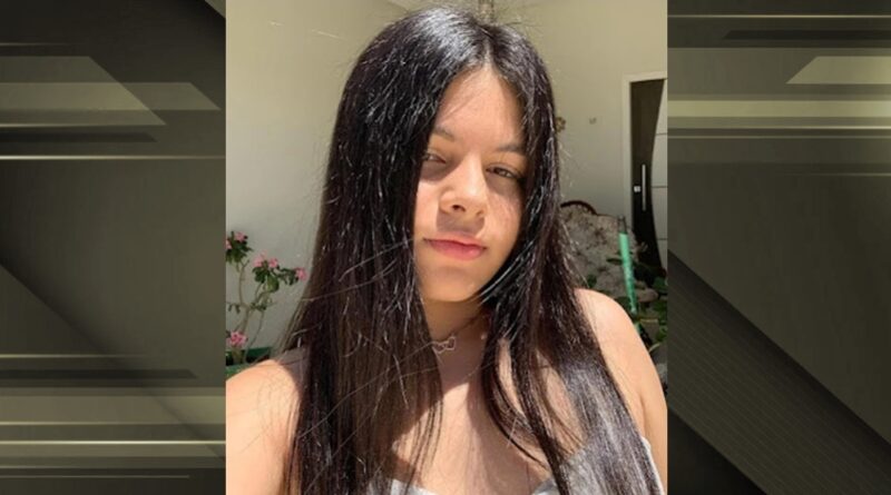 Piauiense de 14 anos morre vítima de afogamento durante excursão na Bahia