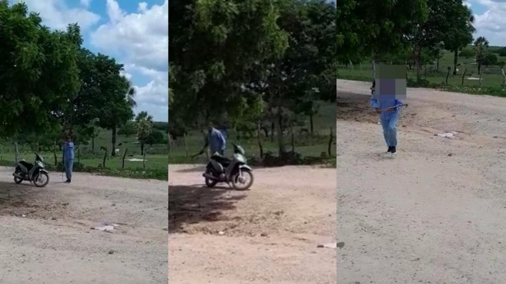 Reprodução 