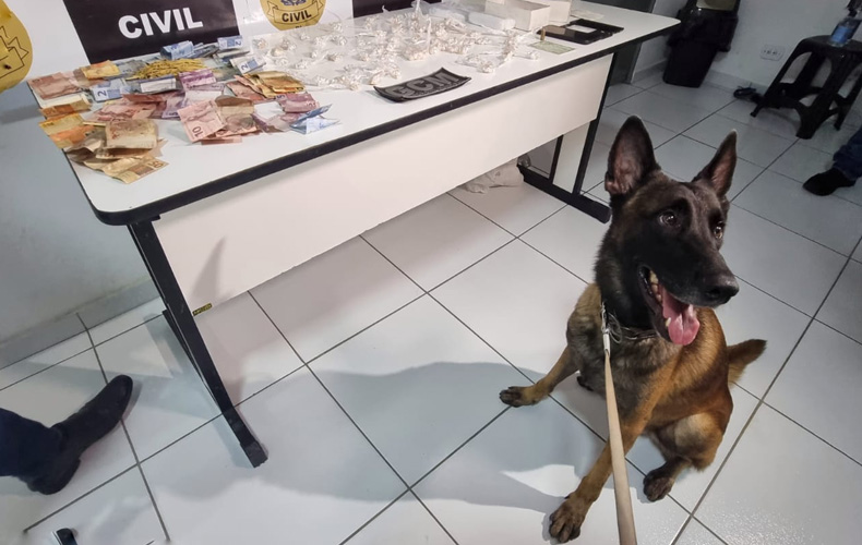 Foto: Divulgação/Depre