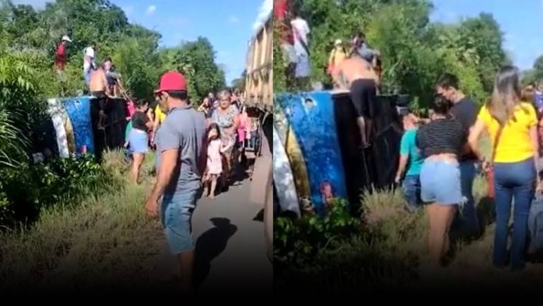 Reprodução 