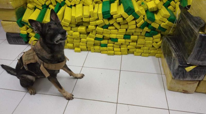 PM apreende na Bahia 1,5 tonelada de maconha que seria entregue em Picos/PI