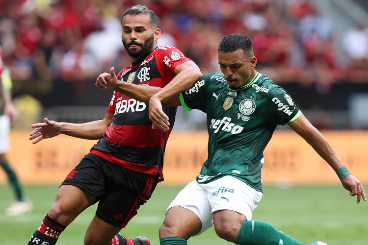 Foto - Cesar Greco - Palmeiras
