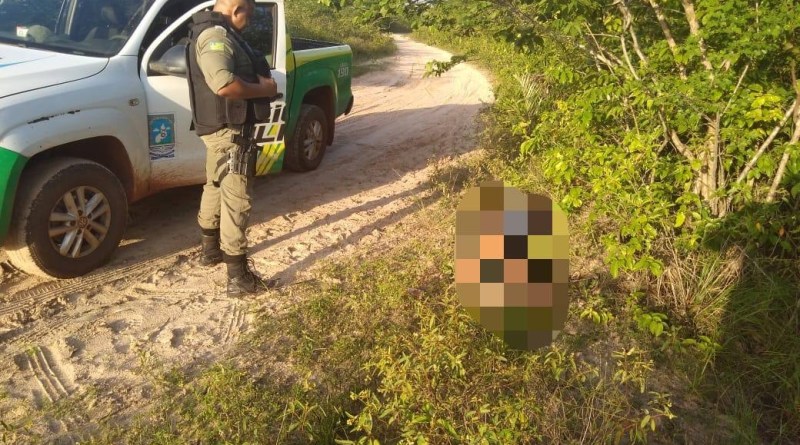 Revista Opinião 