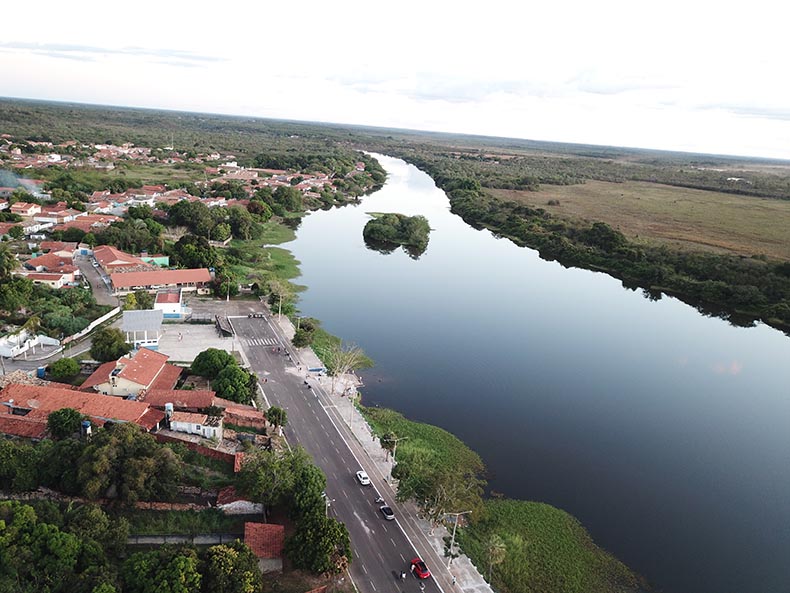 Reprodução 