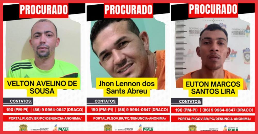 Reprodução