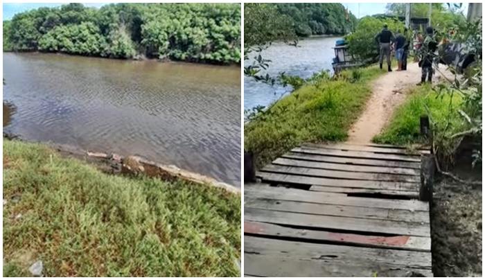 Reprodução