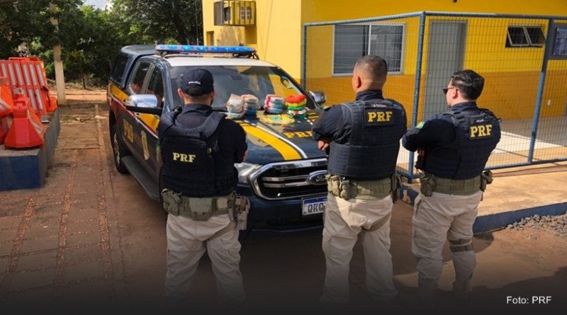 Reprodução