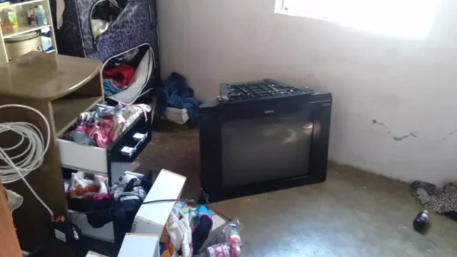 Reprodução