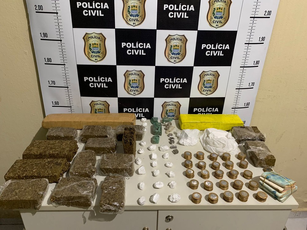 Cerca de 16 tabletes foram apreendidos. — Foto: Foto: divulgação / SSP-PI