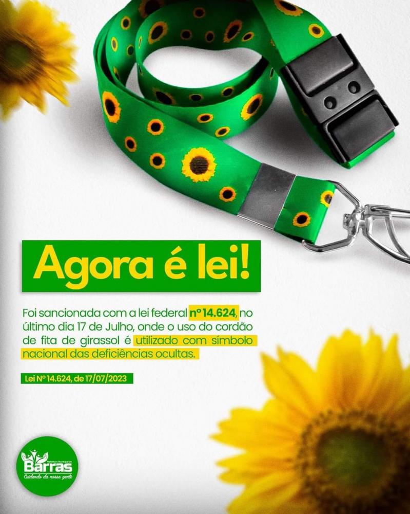 Assessoria de Comunicação 