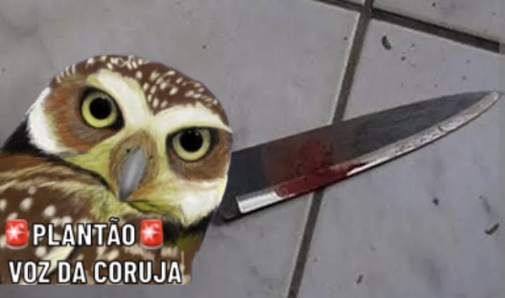 Grupo coruja whatsapp