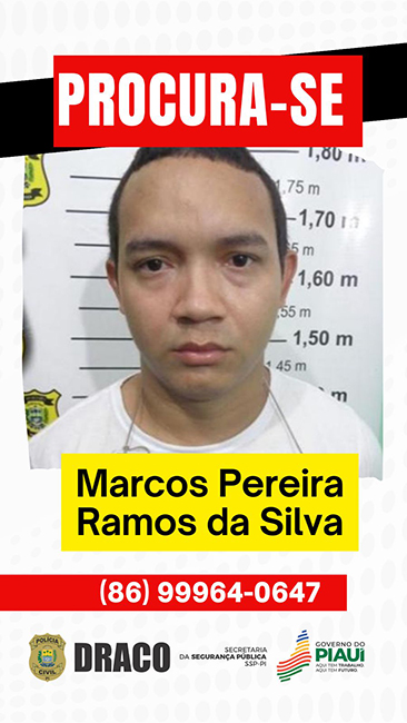  Foto: Polícia Civil