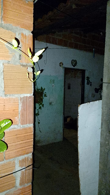Foto: Reprodução/PM/PI